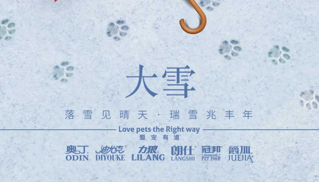 大雪丨雪落知寒意 久伴見初心！