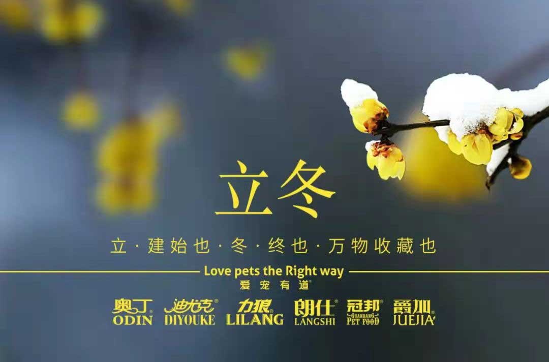 立冬丨冬寒初始，情暖愈濃