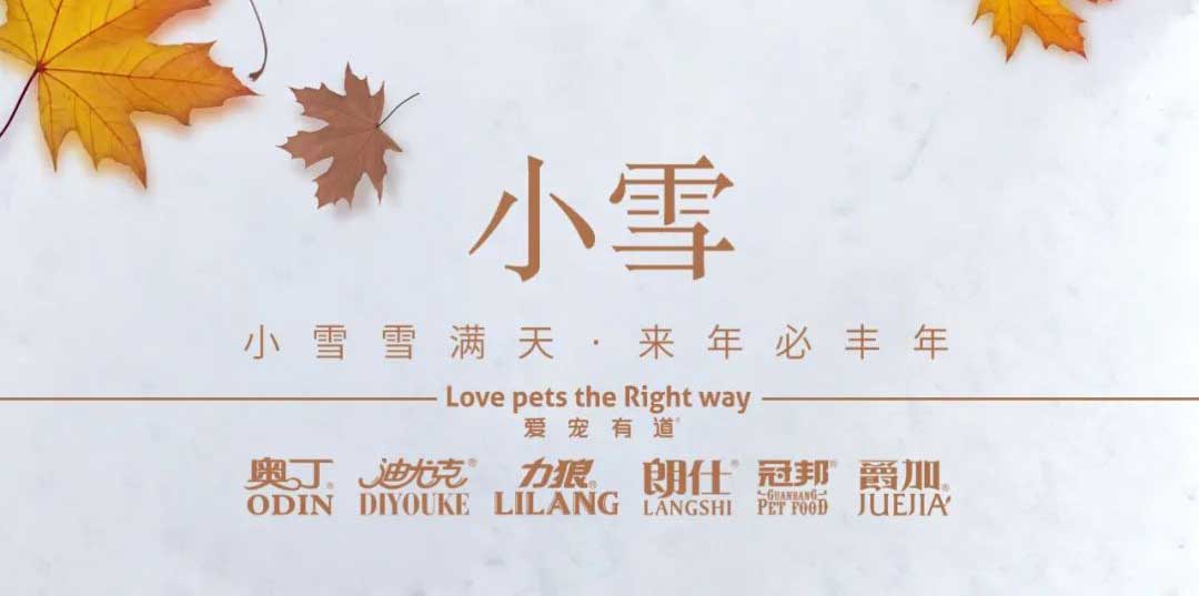 小雪丨天地初寒，歲月安暖